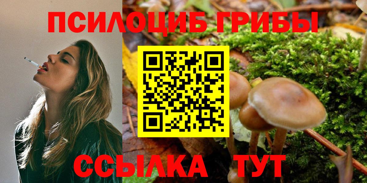 Псилоцибиновые грибы мухоморы  Вход с VPN  Фролово 