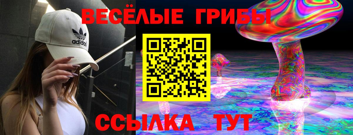 Галлюциногенные грибы Psilocybine cubensis Фролово