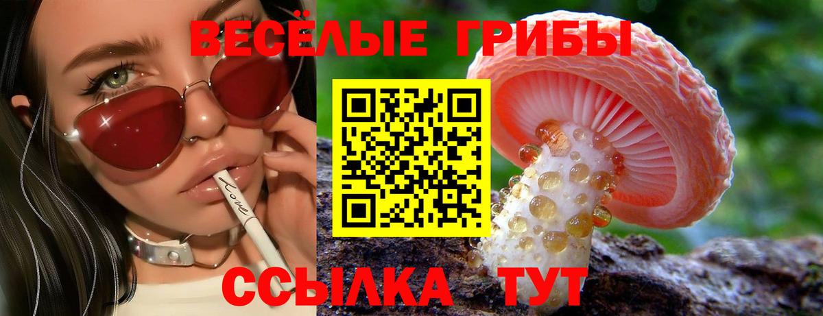 Cocaine  Молли  Марки  Мяу-Мяу  Альфа ПВП  Где купить  Фролово  Вход с VPN  Вейп ТГК  Меф 